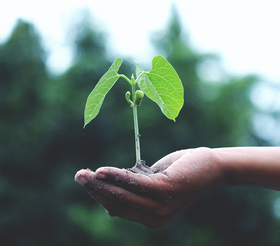 ���쿵������������304����Ψһ�Ƴ�������ù����